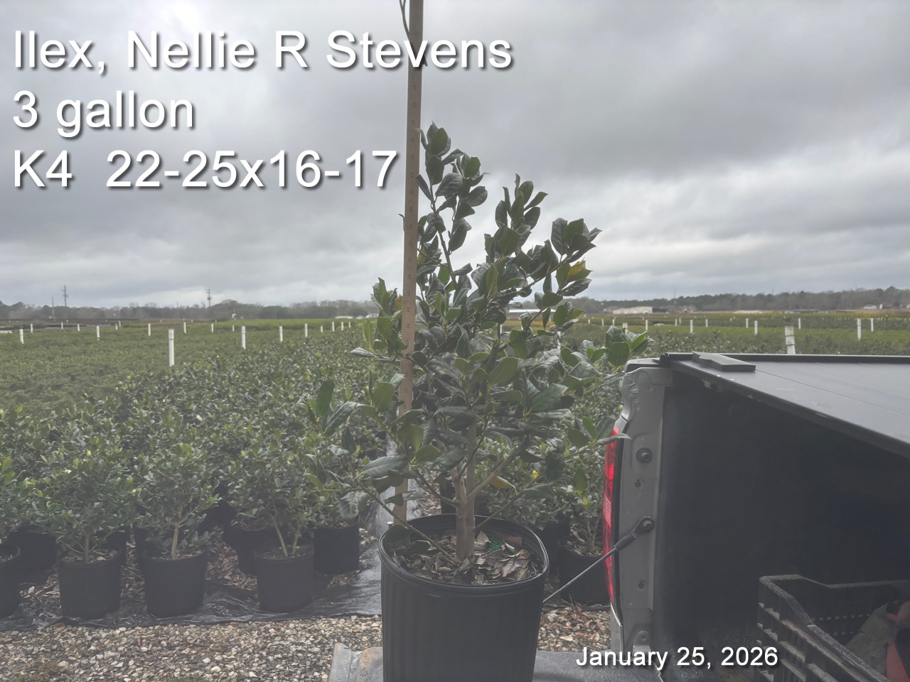 gallery/nrs3 k4 jan25.jpg